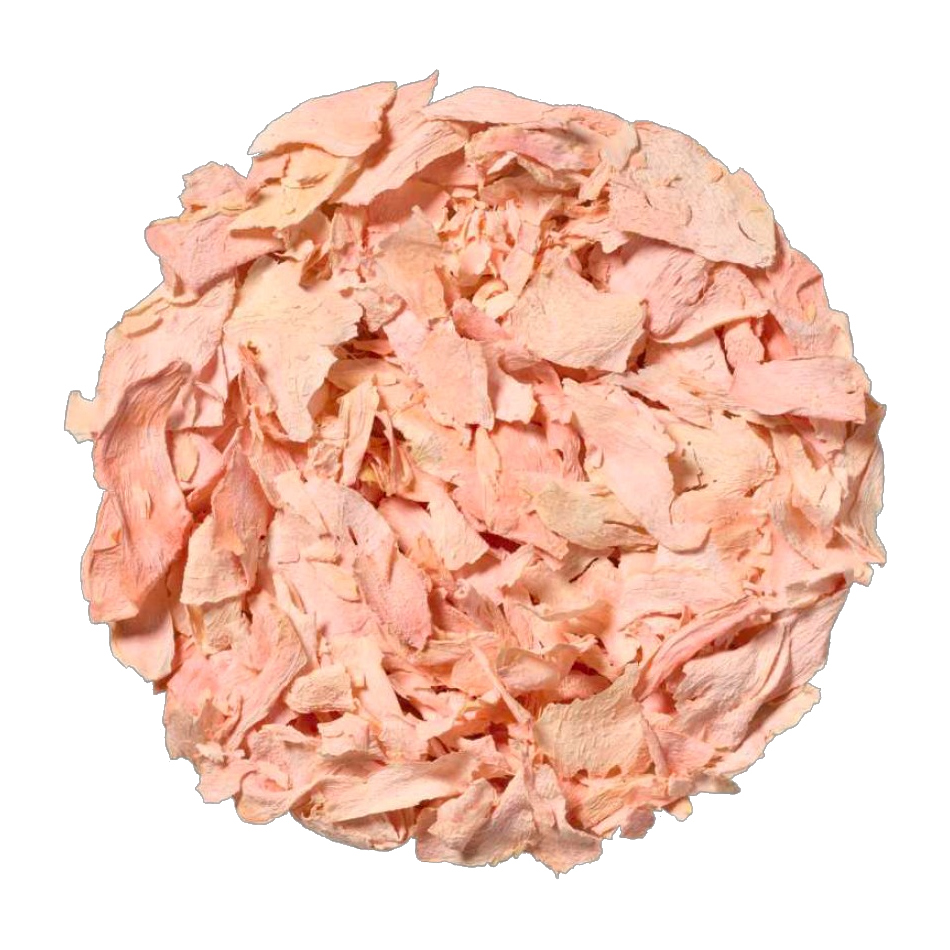 Pickled Ginger Freeze Dried 15 g Fresh-As